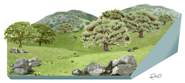 Habitat 6310 Dehesas perennifolias de Quercus spp. (Infografía de Raúl Herrero)